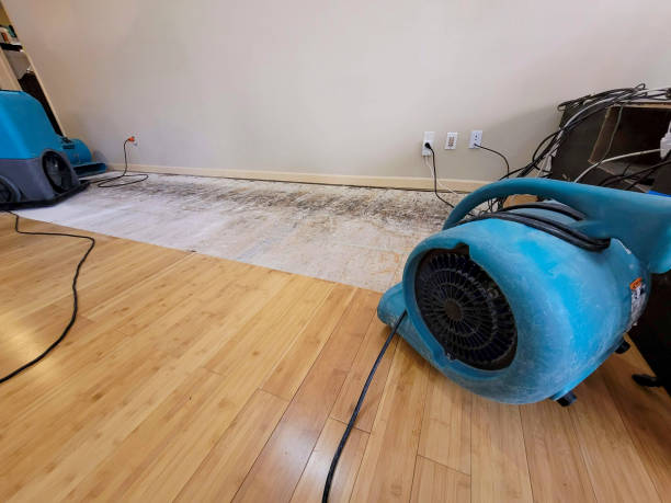 Professional Basement Flood Cleanup technician working in Lucerne, CO